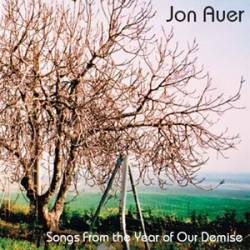 Jon Auer : Songs from the year of our demise